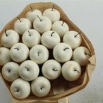 Apple Dried White x 20