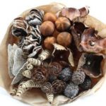 Dried Mix Decoration Orange Ball x 40