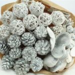 Glitter Dried White Mix x 40