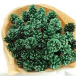 Pine Cone Glitter Green x 50