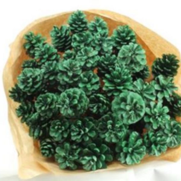 Pine Cone Glitter Green x 50
