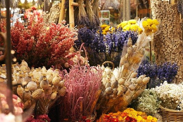 Dried flowers for decoration